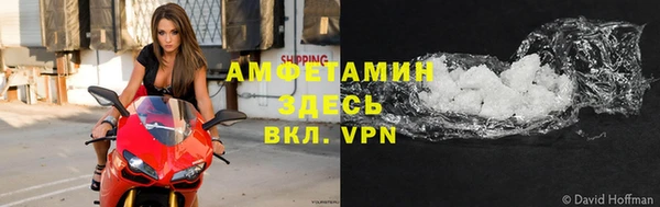 стаф Алзамай