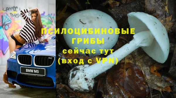 сатива Алексин