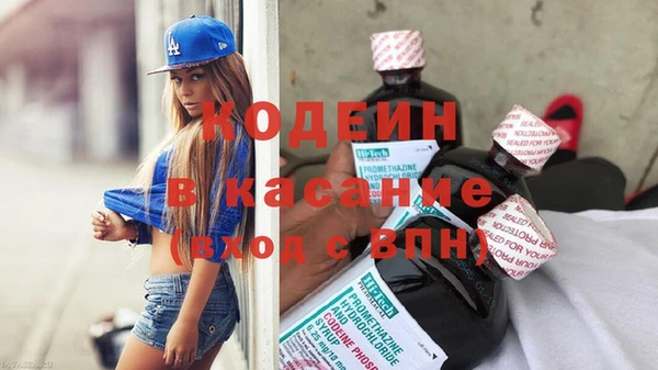 стаф Алзамай