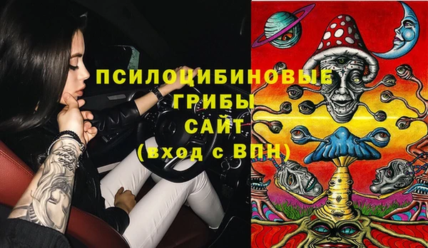 стаф Алзамай