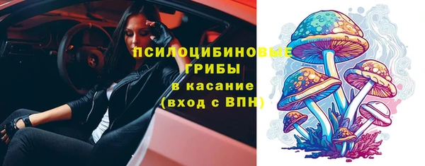 стаф Алзамай