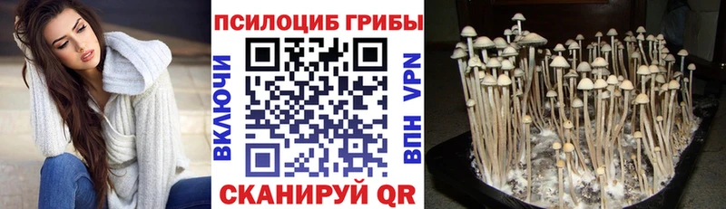 Псилоцибиновые грибы прущие грибы  Крымск 